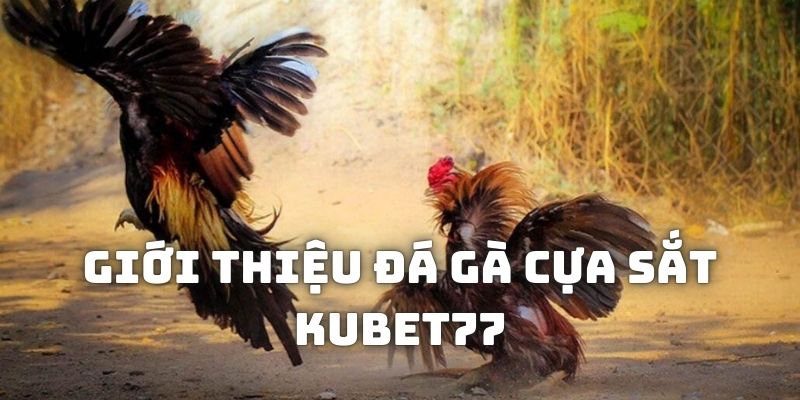 Giới thiệu về loại hình đá gà cựa sắt tại Kubet77